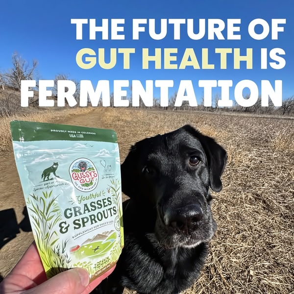 A close-up shot of a dog food supplement package held in a hand, with a dog visible in the background against a bright sky, emphasizing the product's natural origins.